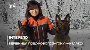 Стаття Собаки-захисники загону «Антарєс»: як вони шукають людей під завалами після прильотів (фото) Ранкове місто. Донбас