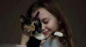 Стаття В Одесі маленька дівчинка викликала поліцію, щоб врятувати свою кішку-втікачку – історія порятунку Ранкове місто. Донбас