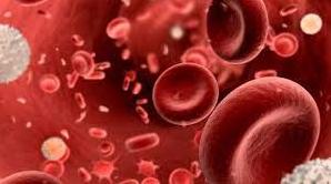 Стаття Збір на тести для встановлення групи крові, які допомагають рятувати життя воїнів на передовій! Ранкове місто. Донбас