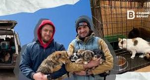 Стаття «Не можна забувати про тварин»: як волонтери евакуйовують тварин з Донеччини та допомагають ЗСУ Ранкове місто. Донбас