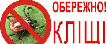 Стаття Лікар розказала, як правильно перевірити себе на наявність кліщів після природи Ранкове місто. Донбас