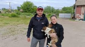 Стаття Ветеринари-волонтери з Франції допомагають стерилізувати безпритульних тварин на Одещині (фото) Ранкове місто. Донбас